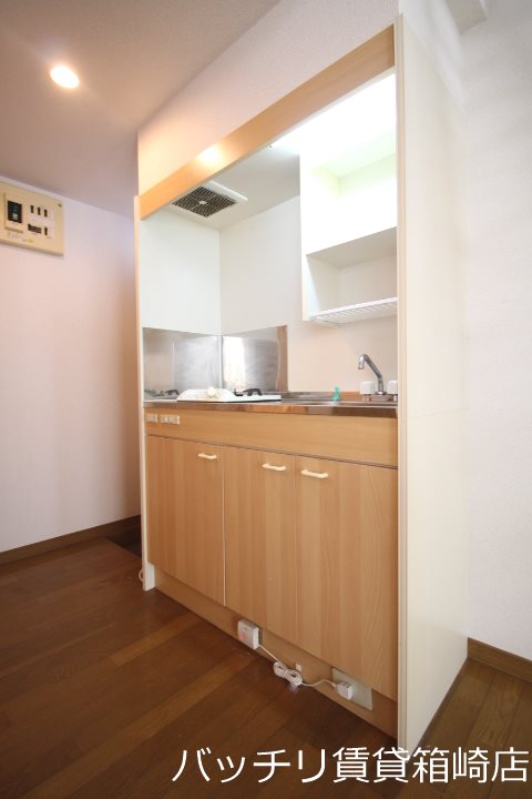 キッチン　別号室写真の為現況を優先致します。