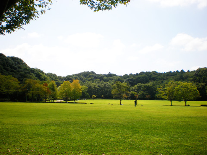 公園　21世紀の森（公園）まで1185m