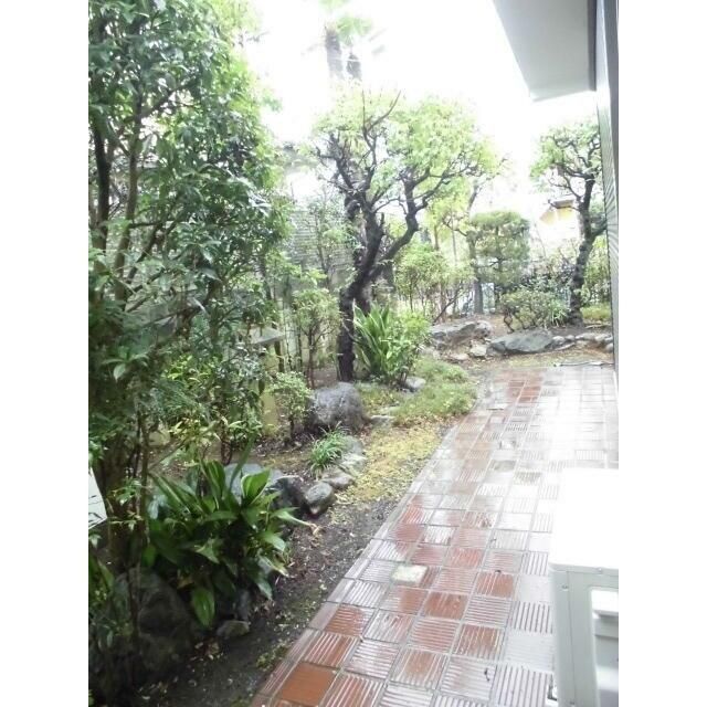 庭