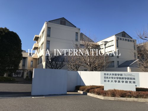 大学・短大　日本大学　薬学部（大学・短大）まで5273m