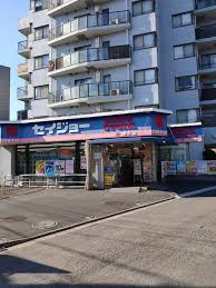 ドラックストア　セイジョー柳沢店（ドラッグストア）まで992m