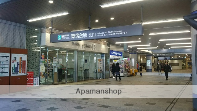 その他　青葉台駅（その他）まで1000m