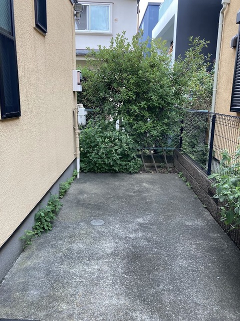 庭