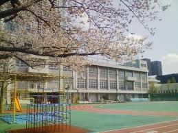 小学校　中央区立豊海小学校（小学校）まで864m