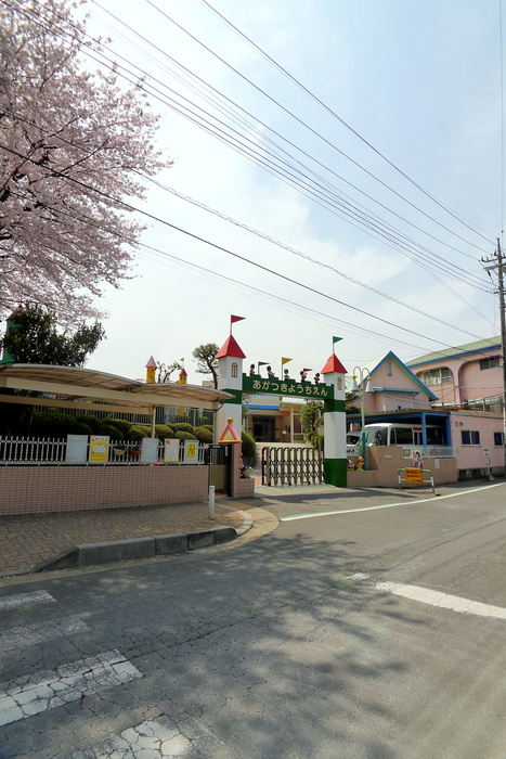 幼稚園・保育園　あかつき幼稚園（幼稚園・保育園）まで300m