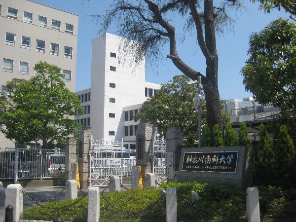 大学・短大　神奈川歯科大学（大学・短大）まで319m