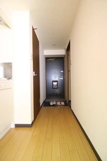 玄関　※違う号室の参考写真です。
