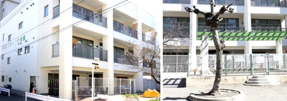 幼稚園・保育園　こひつじ保育園（幼稚園・保育園）まで270m