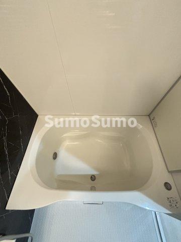 パークフラッツ安堂寺町の風呂写真