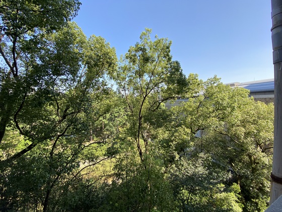 眺望　※別号室の写真になります。