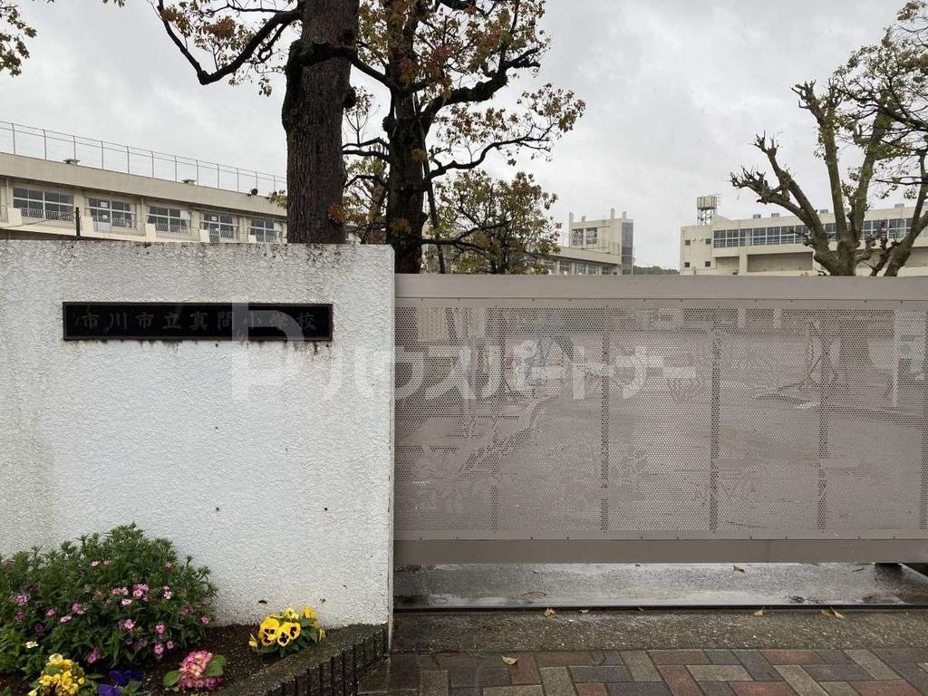 小学校　市川市立真間小学校（小学校）まで320m