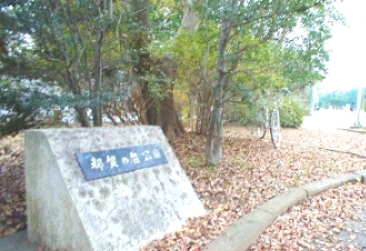 公園　都賀の台中央公園（公園）まで787m