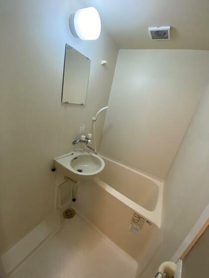 バス・シャワールーム　他のお部屋のお写真です。