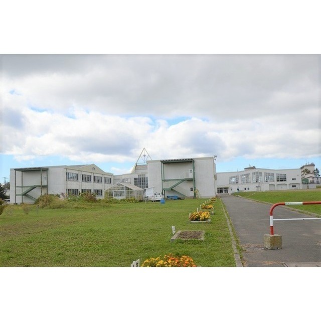 小学校　朝陽小学校（小学校）まで700m