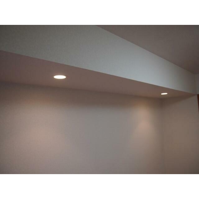 その他　ダウンライト