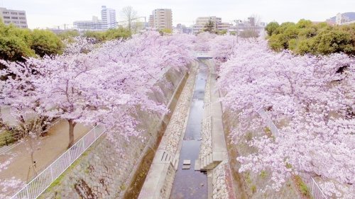 公園　妙法寺川公園（公園）まで215m