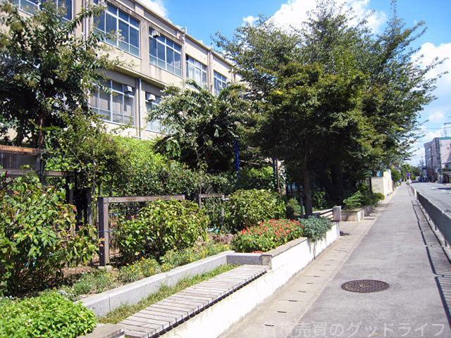 中学校　蜂ヶ岡中学校（中学校）まで850m
