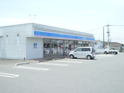 その他　ローソン（その他）まで700m