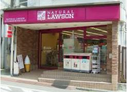 コンビニ　ナチュラルローソン 新橋六丁目店（コンビニ）まで129m
