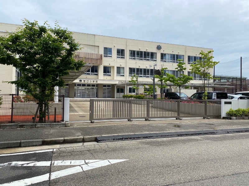 小学校　新潟市立笹口小学校（小学校）まで510m