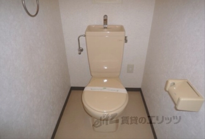 デミューズ木幡のトイレ写真