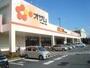 スーパー　スーパーオザム秋川店（スーパー）まで346m
