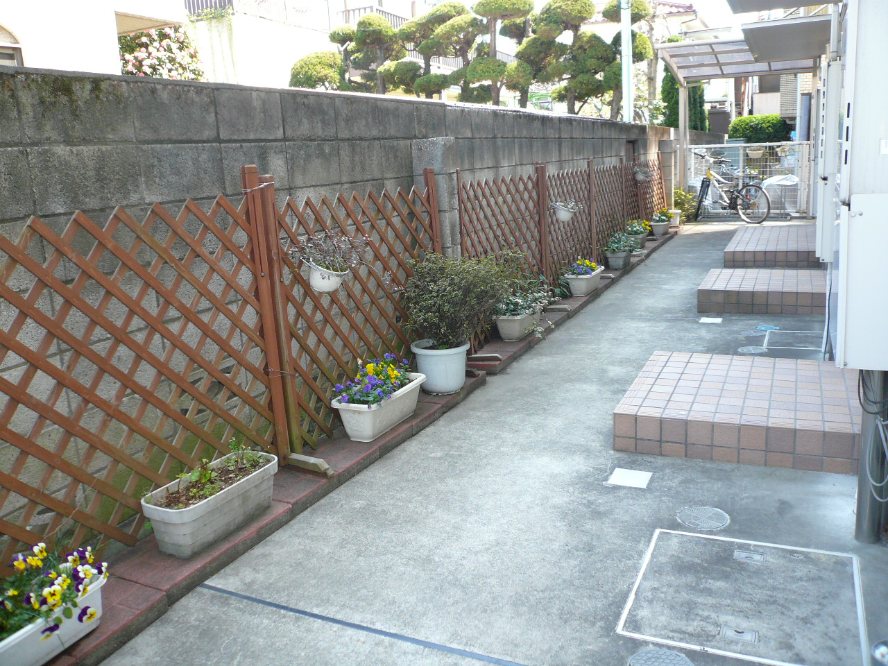 庭