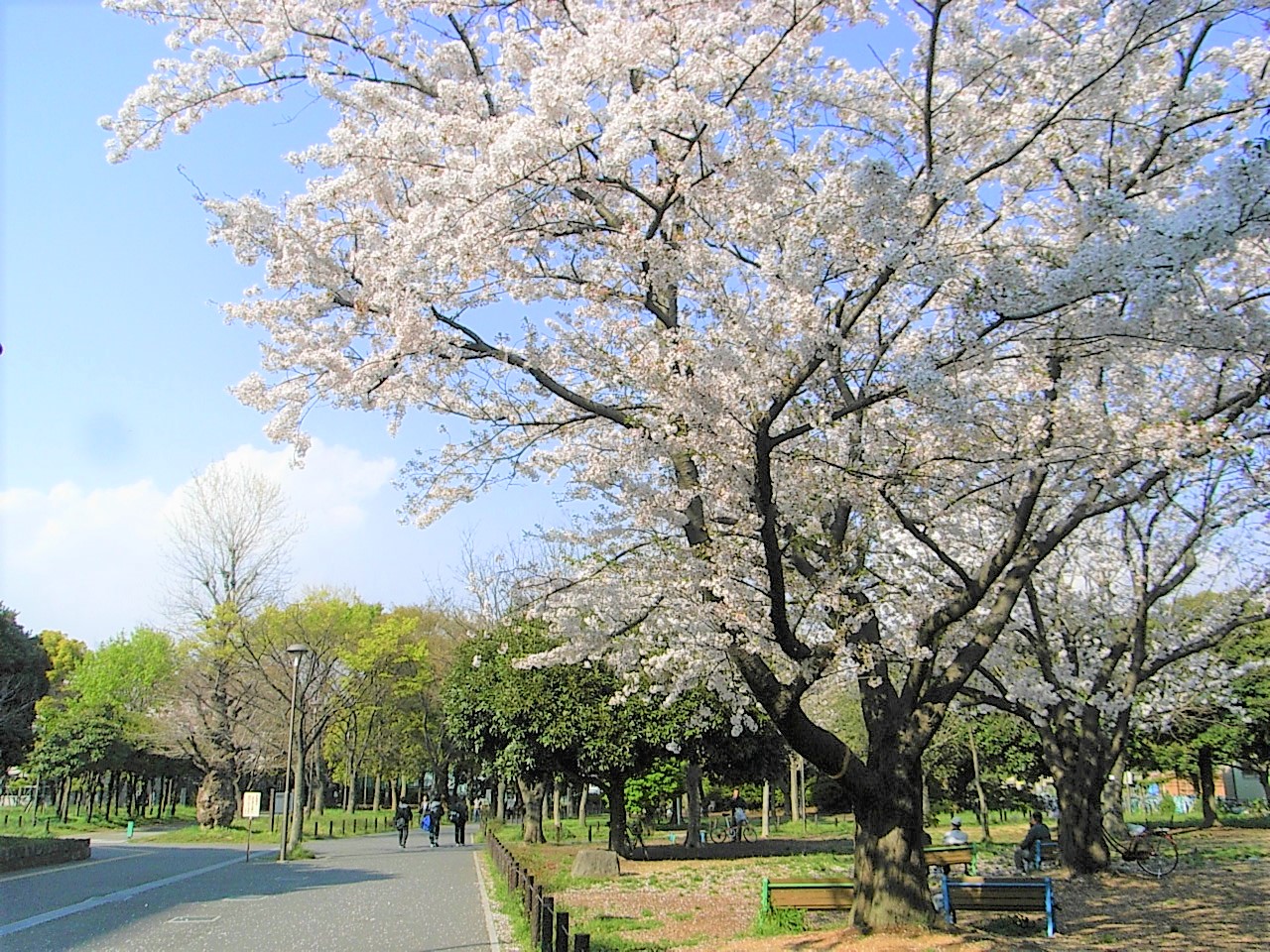 【江東区南砂のマンションの公園】