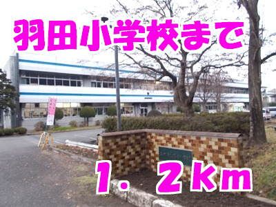 【ビッグ　シャトーＥの小学校】