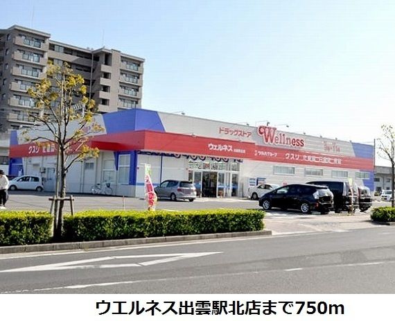 ドラックストア　ウエルネス出雲駅北店（ドラッグストア）まで750m