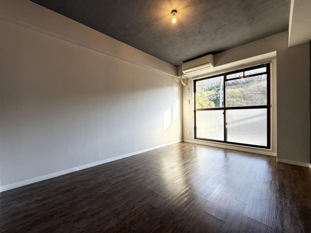 居室・リビング　天井漆喰仕上げ