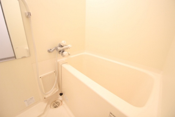 バス・シャワールーム　※別部屋の写真です