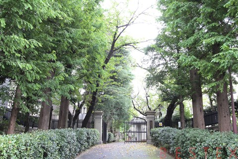 中学校　文京区立第三中学校（中学校）まで283m