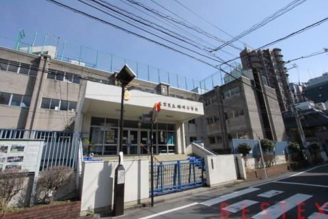 小学校　文京区立礫川小学校（小学校）まで505m