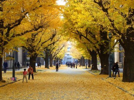 その他　東京大学 02