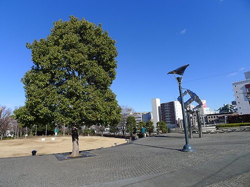 【コスモ川口ステーションフロントの公園】