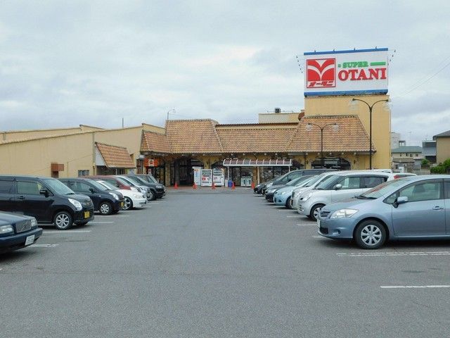 スーパー　オータニ野沢店（スーパー）まで1100m