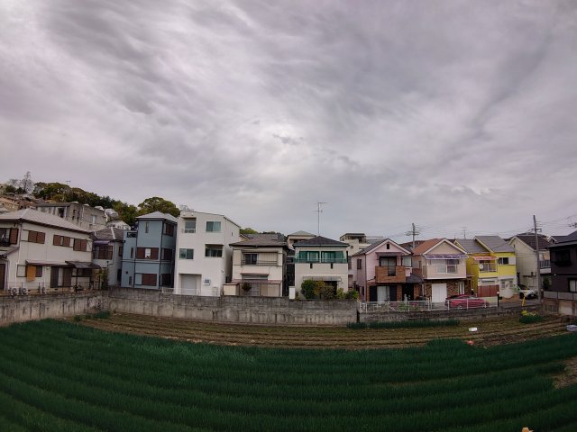 眺望