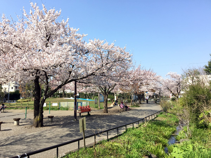 公園　北沢川緑道（公園）まで400m
