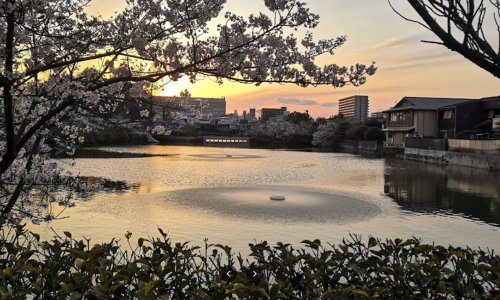 公園　桃ケ池公園（公園）まで1059m