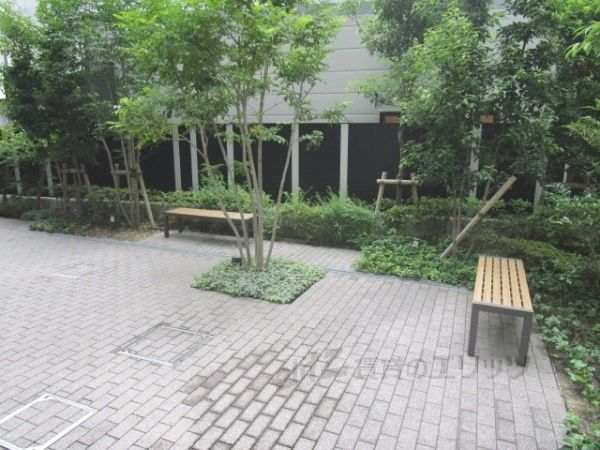 庭　通路