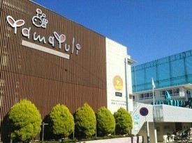 幼稚園・保育園　湘南マドカ幼稚園（幼稚園・保育園）まで440m