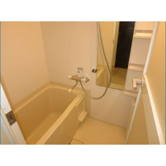 バス・シャワールーム　同タイプ別部屋参考写真