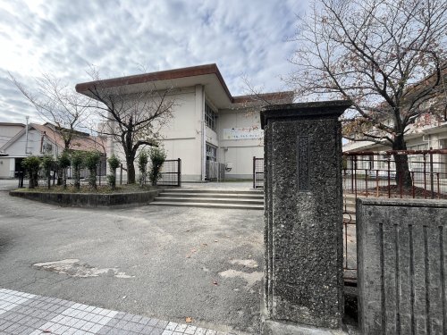 小学校　八代市立代陽小学校（小学校）まで613m