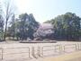 公園　光が丘公園（公園）まで180m