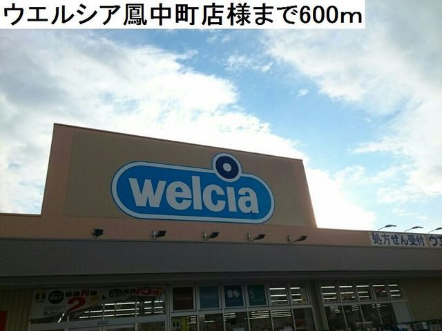 ドラックストア　ウエルシア鳳中町店様（ドラッグストア）まで600m