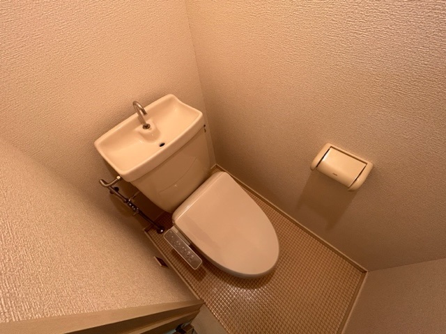 ビューバレー桑野のトイレ写真