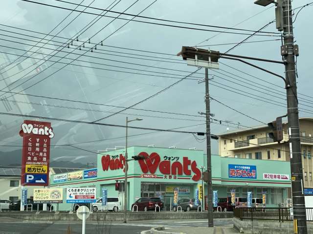 ドラックストア　Wants（ドラッグストア）まで480m