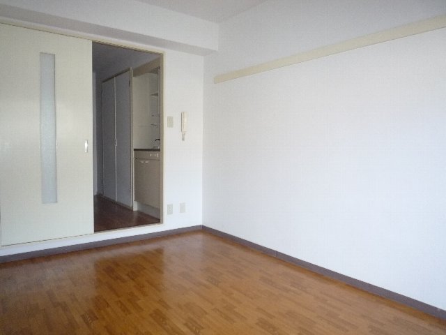 居室・リビング　広めの洋室です