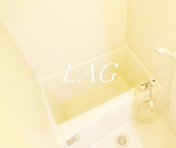 バス・シャワールーム　お風呂（同仕様）です。